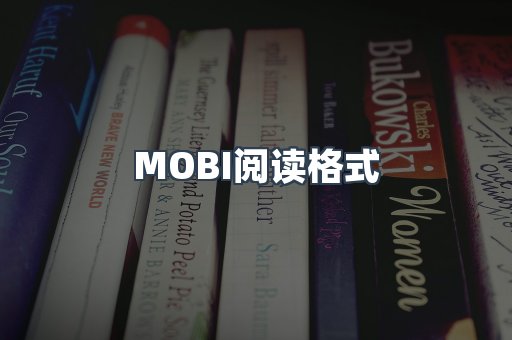 EPUB电子书